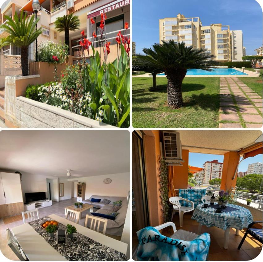 Apartamento Paradise Solo Familias Gandía Eksteriør bilde