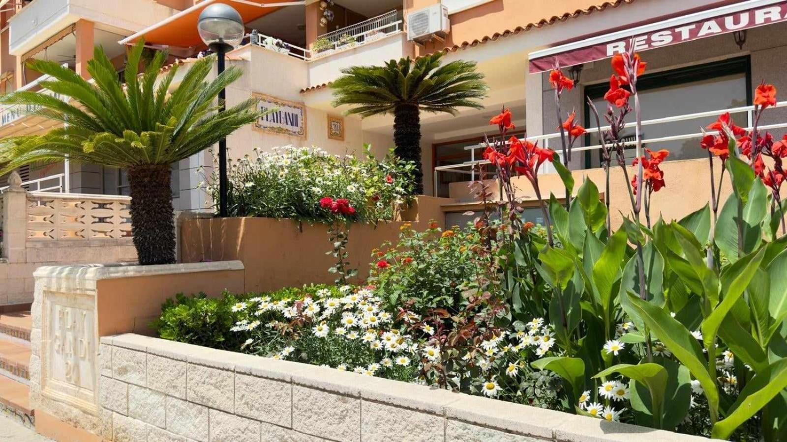 Apartamento Paradise Solo Familias Gandía Eksteriør bilde