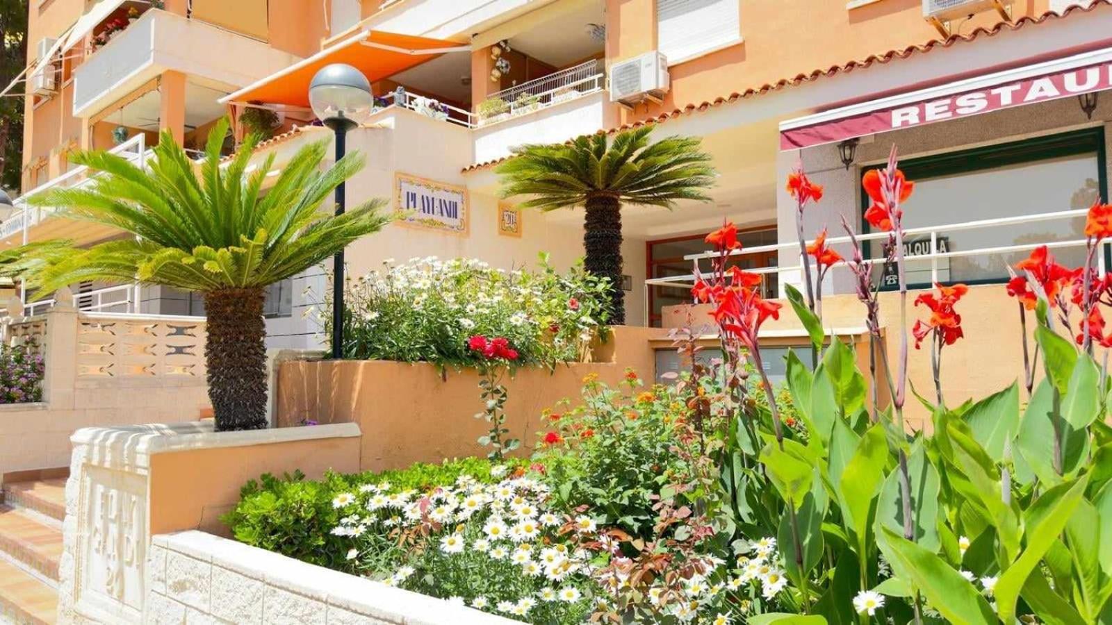 Apartamento Paradise Solo Familias Gandía Eksteriør bilde
